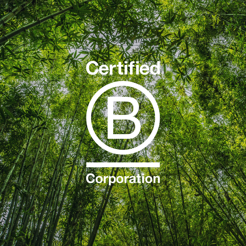 What Does B Corp Mean? A Simple Guide for Parents (UK) Love Boo