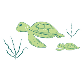 I HAVE A QUESTION ABOUT MY ORDER, WHO CAN I TALK TO?