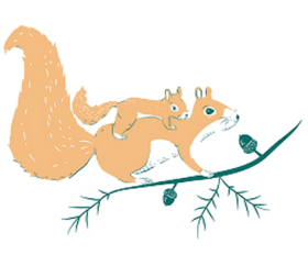 WHEN WILL MY ORDER SHIP?