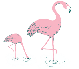 CAN I EXCHANGE AN ITEM